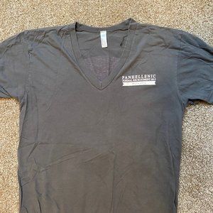 Delta Zeta Panhellenic V-Neck T-Shirt